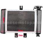 Small Radiator for 200cc-250cc Water-cooled ATV, Dirt Bike & Go Kart